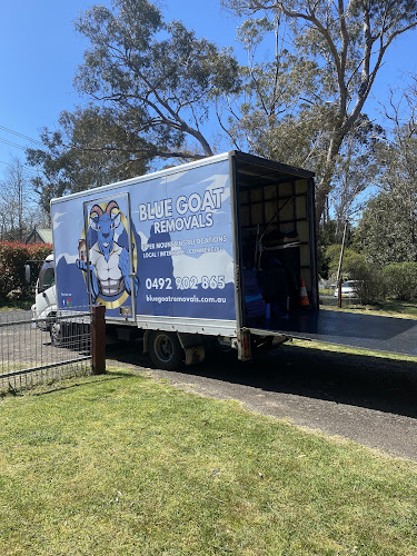 Blue GOAT Removals