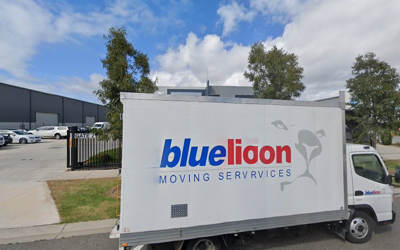 Blue Lion Moving Services